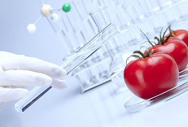 Food & Veterinary Solutions
