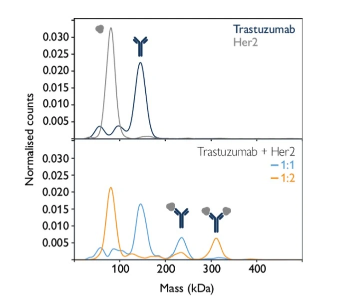 Mass Photometry Protein-DNA Interaction